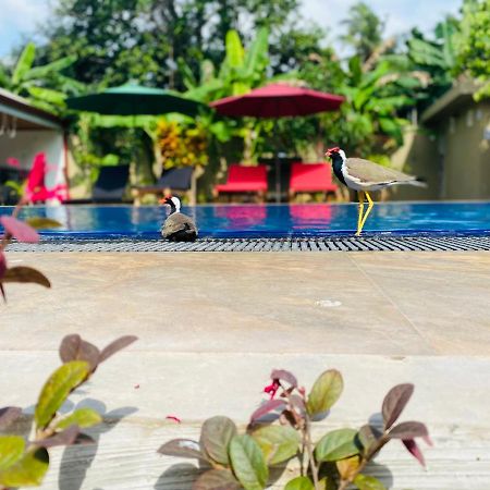 The Kingslayer Resort Negombo Eksteriør bilde
