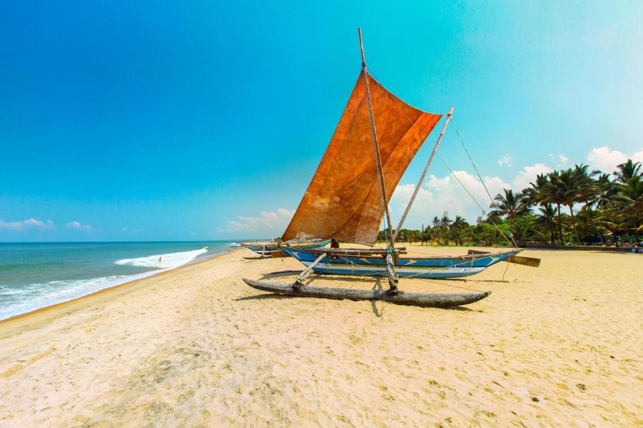 The Kingslayer Resort Negombo Eksteriør bilde